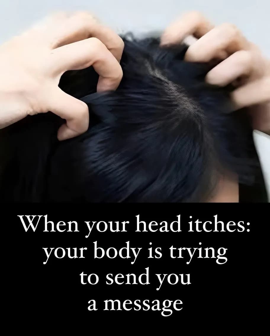 Scalp Irritation: Identify the Sources of Discomfort and How to Treat Them