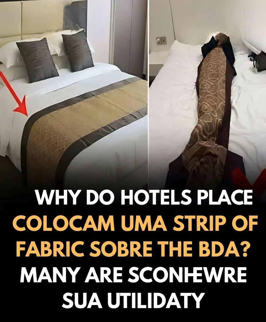 The Enigma of the Bed Runner: More Than Decoration, a Multifunctional Item in Hotels