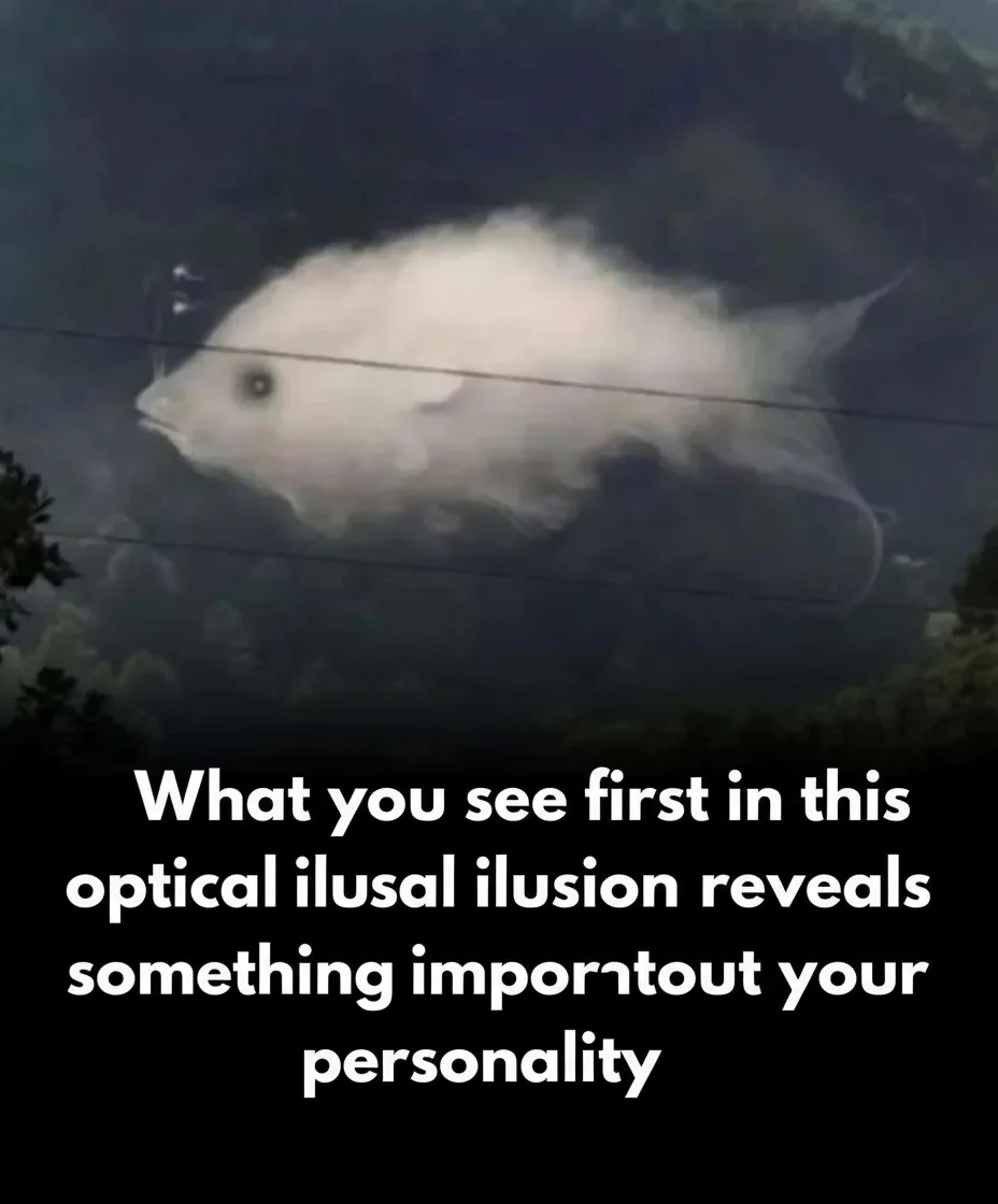 Visual Test: What You See First Reveals Your Personality Traits