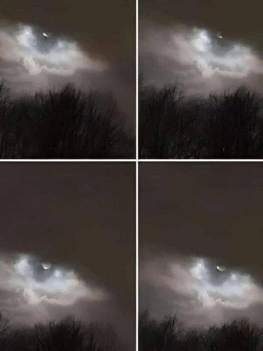 The Unexplained Photo: My Brother Captured This Image 21 Kilometers From Home, And We're Still Baffled