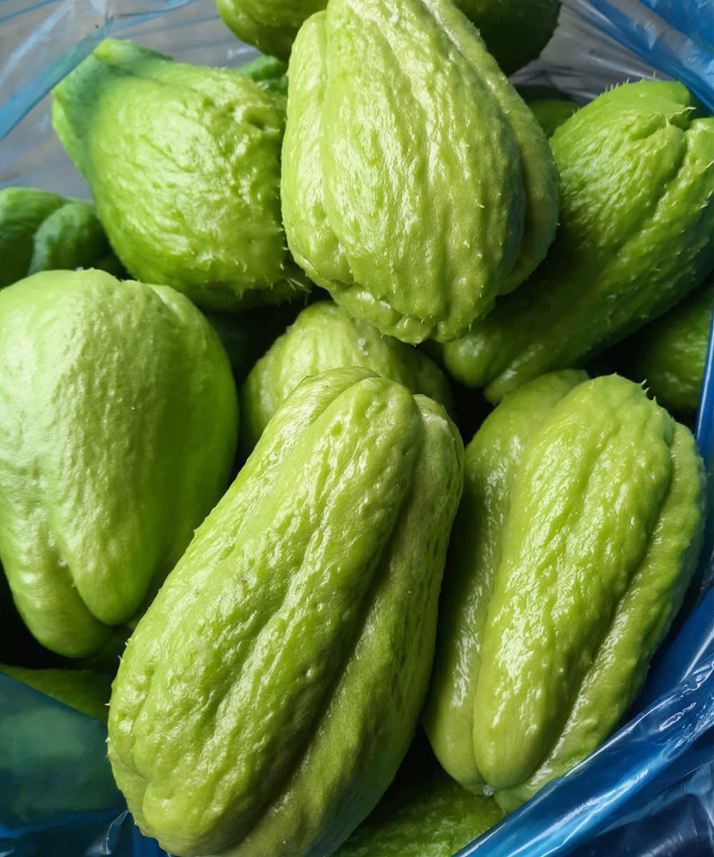 Doctors Reveal the Surprising Effects of Eating Chayote