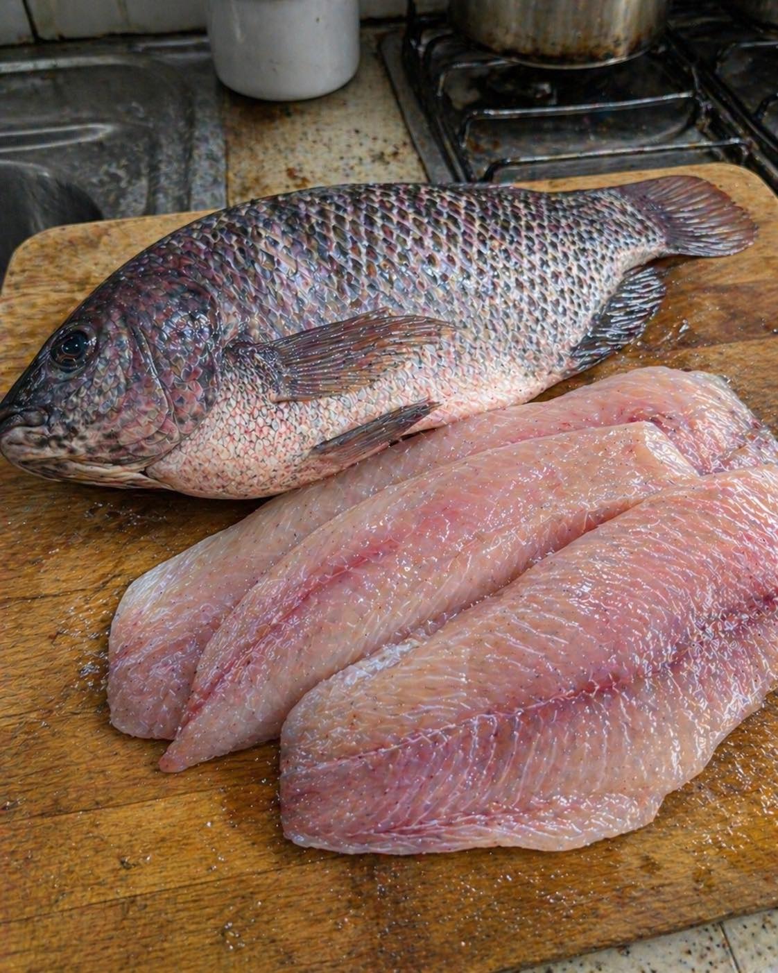Health Experts Reveal What Eating Tilapia Might Cause...