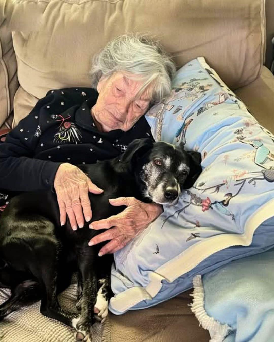 I Was the Only One Who Took My Grandmother's Dog During the Inheritance Fight — And That Gesture Unlocked Her Hidden Secret for Me
