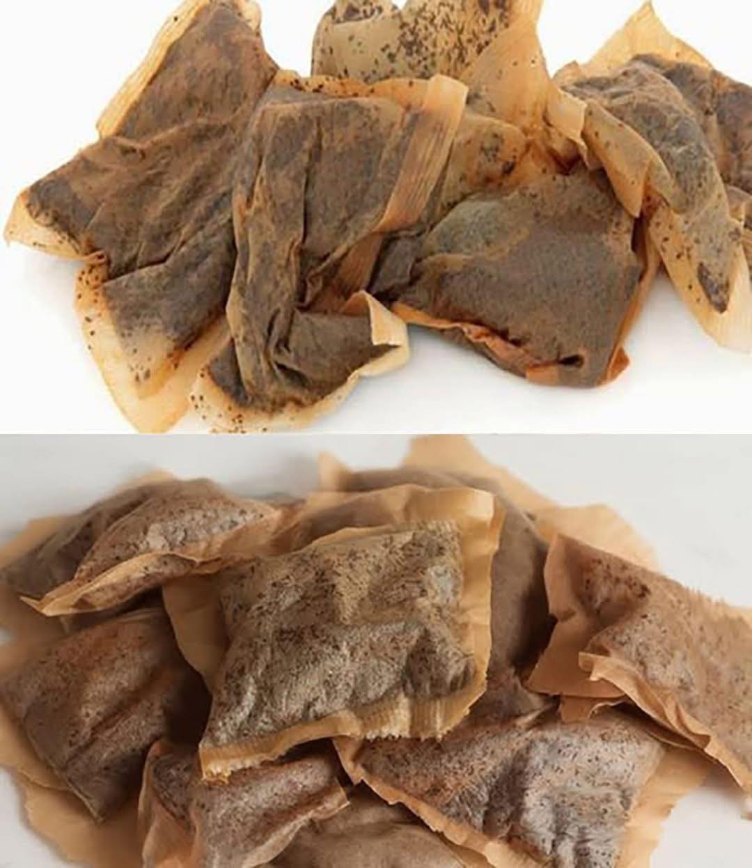 7 Surprising Ways to Repurpose Tea Bags You Never Knew