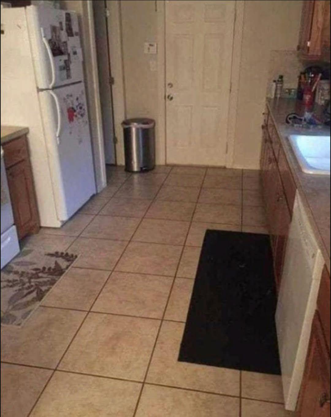 This Dog is Hiding in Plain Sight in the Kitchen, And Almost No One Can Find It