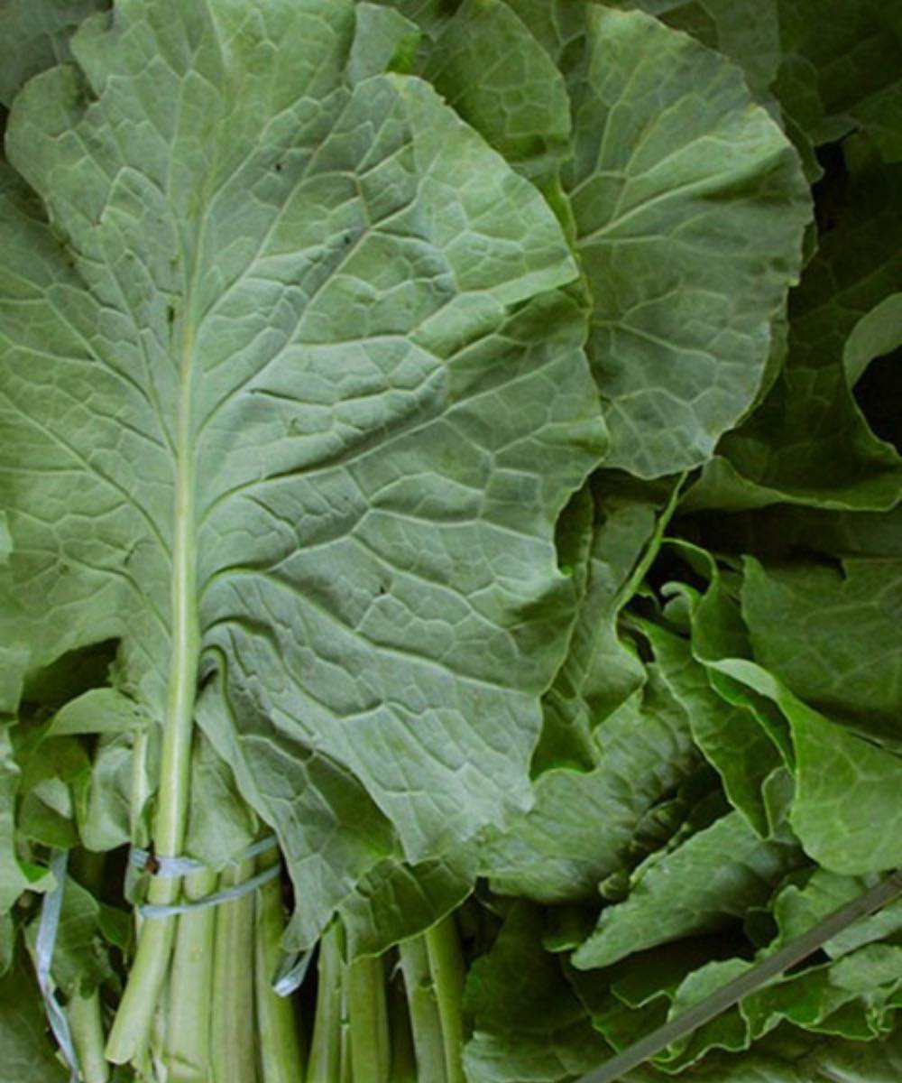 Doctor Reveals Potential Health Risks of Kale Consumption