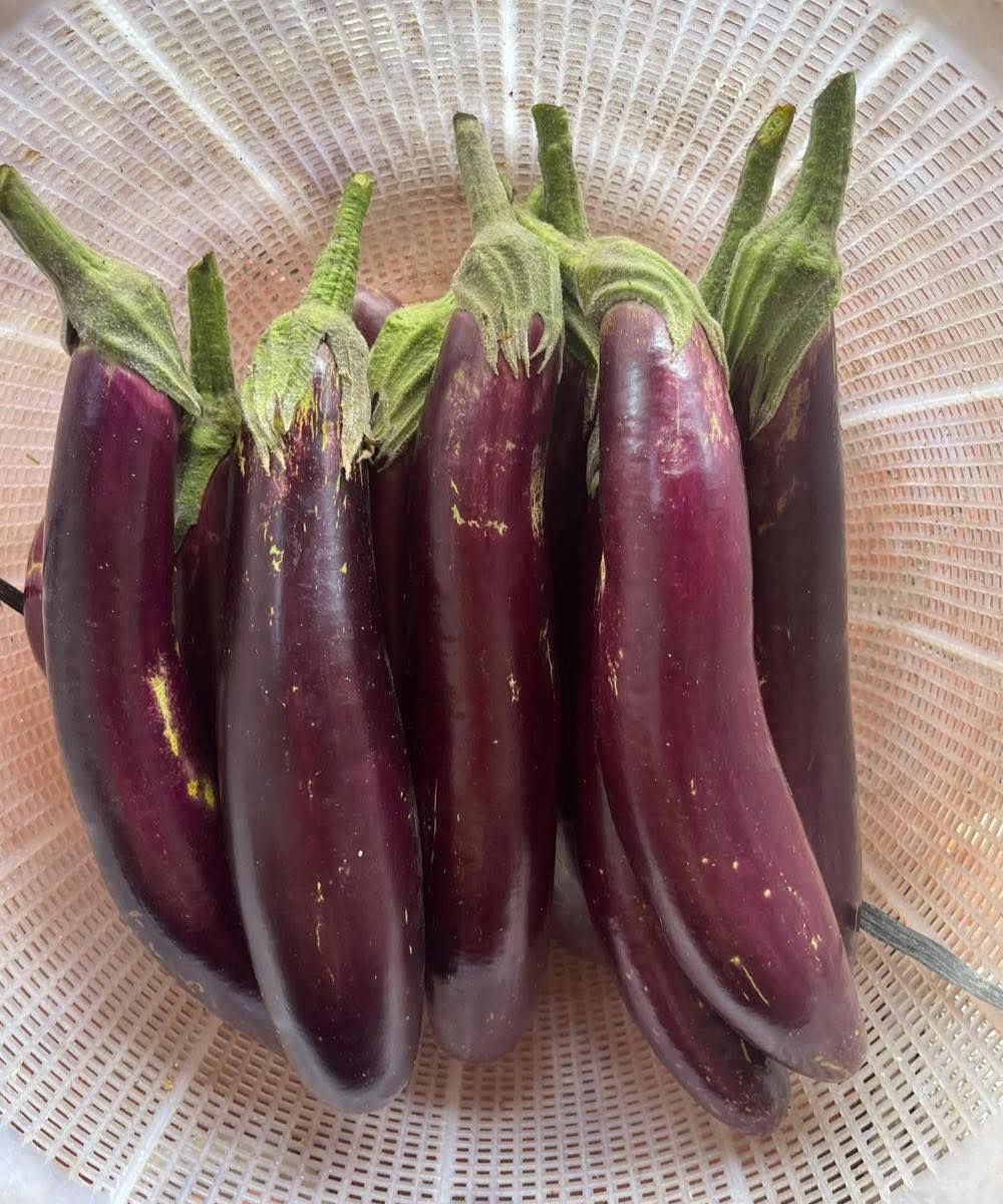 Doctors Reveal What Eating Eggplant Causes…