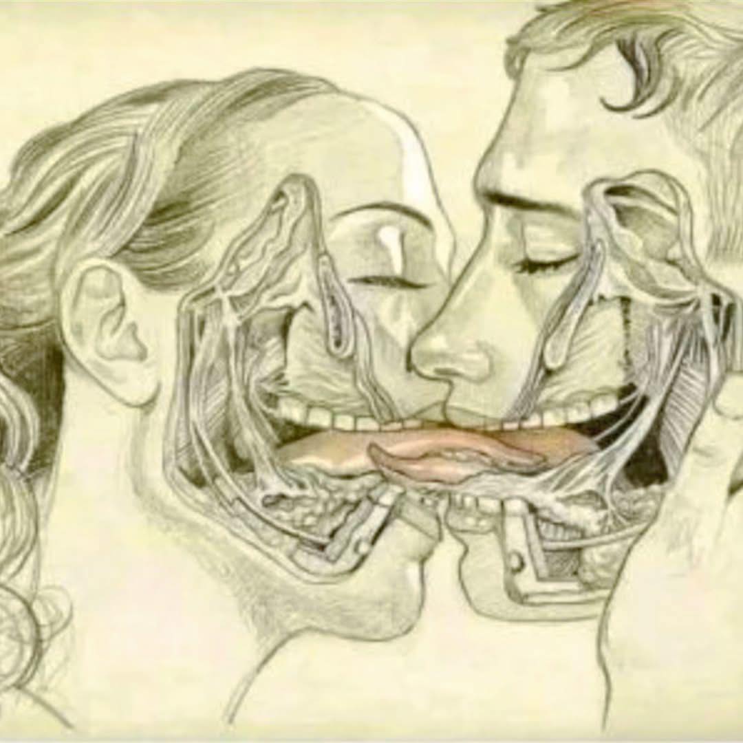What Happens to Your Body (and Soul) When We Kiss?