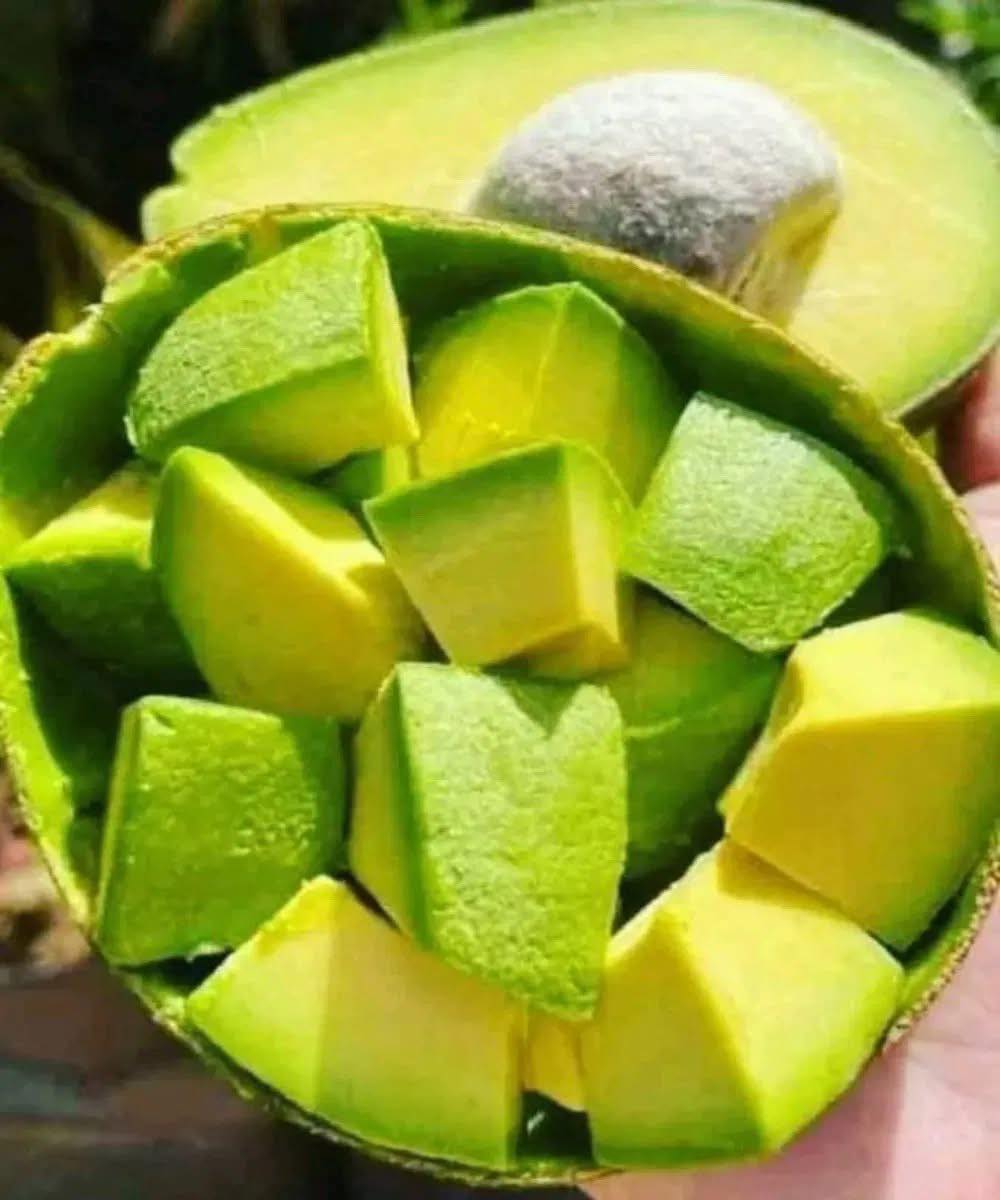 Doctors Reveal What Eating Avocado Causes...