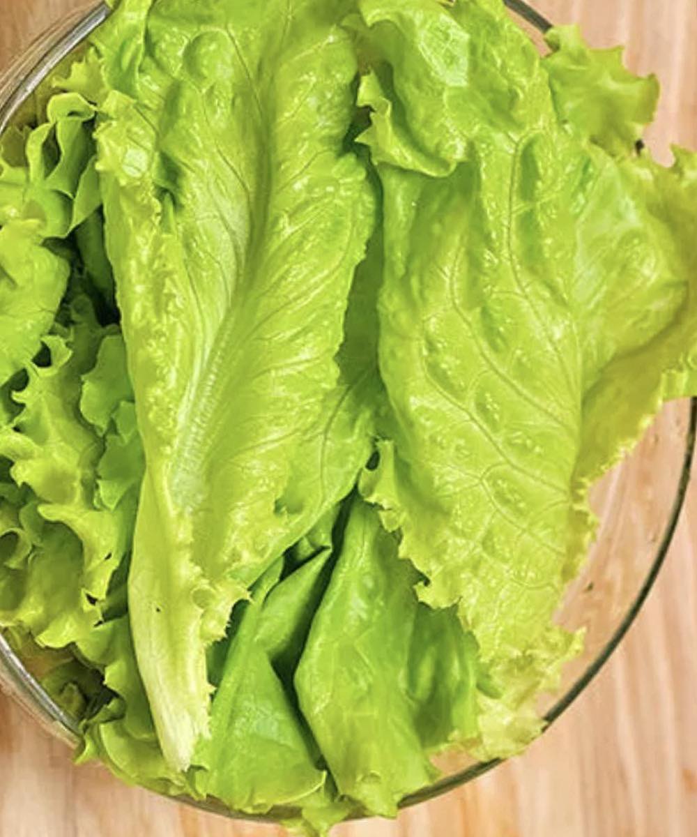 Doctors Uncover the Surprising Effects of Eating Lettuce in Winter